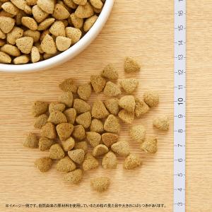ニュートロ ナチュラルチョイス 全犬種 成犬用...の詳細画像5