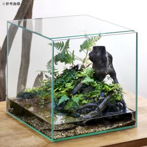 ピッタリガラスフタ オールガラス水槽アクロ30...の詳細画像1