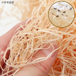 国産 天然ひのきのウッドパッキン 50g 約3...の詳細画像1