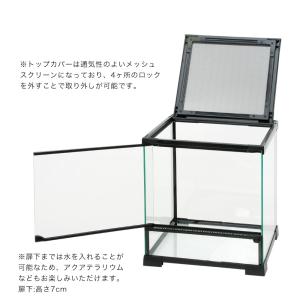 爬虫類ケージ テラスペース 30×30×32c...の詳細画像2