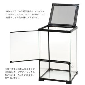 爬虫類ケージ テラスペース 30x30x45c...の詳細画像2