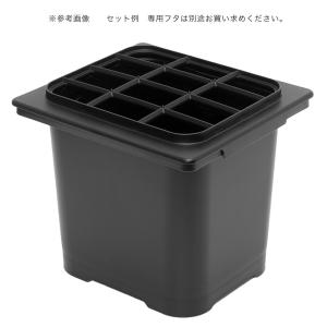 テトラ じょうろでキレイメダカ鉢 20 黒 め...の詳細画像4