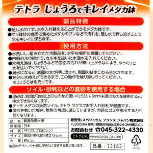 テトラ じょうろでキレイメダカ鉢 丸30 みか...の詳細画像2