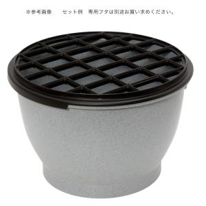 テトラ じょうろでキレイメダカ鉢 丸30 みか...の詳細画像4