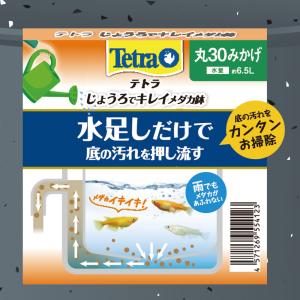 テトラ じょうろでキレイメダカ鉢 丸30 みか...の詳細画像5