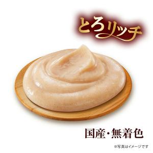 銀のスプーン 三ツ星グルメ おやつ にっぽんS...の詳細画像3