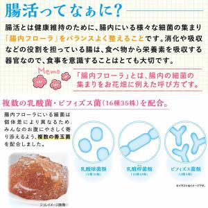 ミニアニマン 腸活生活 ウサちゃんジュレ 小松...の詳細画像4