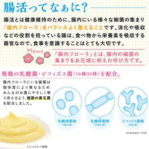 ミニアニマン 腸活生活 ハムちゃんぴゅ〜れ 鶏...の詳細画像4