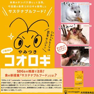 ミニアニマン 小動物のやみつきコオロギ プレー...の詳細画像3