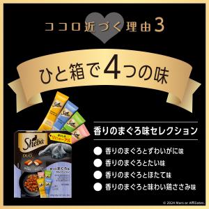 キャットフード シーバ デュオ 200g 味の...の詳細画像4
