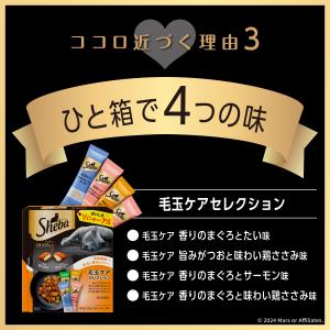 キャットフード シーバデュオ 美味しさと体のケ...の詳細画像4