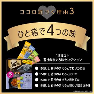 キャットフード シーバ デュオ 15歳以上 2...の詳細画像4