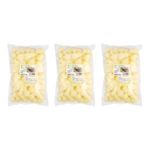 昆虫ゼリー すこやかゼリー (16g 100個入...の商品画像