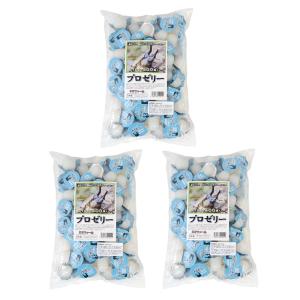 昆虫ゼリー　プロゼリー（１６ｇ　１００個入り）×３袋　カブトムシ・クワガタ用　高タンパク！硬め仕上げ！ブリードに最適！