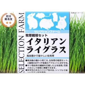 イースター セレクションファーム 牧草栽培セッ...の詳細画像3