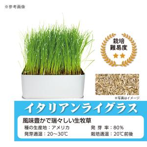 イースター セレクションファーム 牧草栽培セッ...の詳細画像4