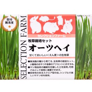 イースター セレクションファーム 牧草栽培セッ...の詳細画像3