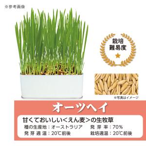 イースター セレクションファーム 牧草栽培セッ...の詳細画像4