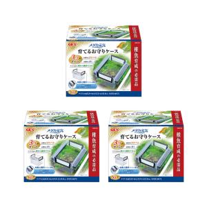 ＧＥＸ　メダカ元気　育てるお守りケース　３個入り　稚魚　隔離ケース　１５×１３．５×１１．５ｃｍ｜チャーム charm ヤフー店