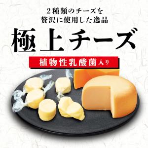 ペティオ 極上 チーズ 乳酸菌入り 130gの詳細画像2