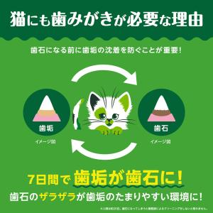 30周年記念おまけ付き グリニーズ 猫 グリル...の詳細画像4