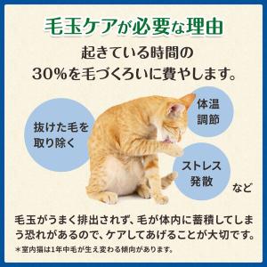 30周年記念おまけ付き グリニーズ 猫 毛玉ケ...の詳細画像2
