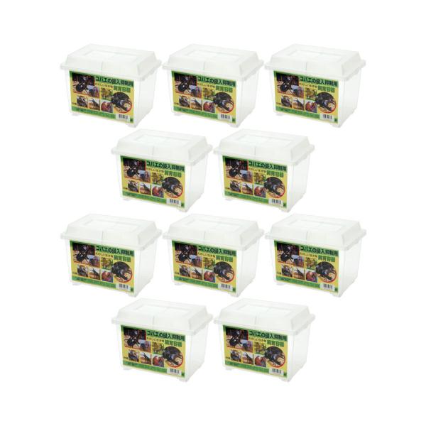 コバエの侵入抑制用　たのしい生き物　飼育容器　小×１０個　仕切りつき　プラケース　虫かご　カブトムシ...