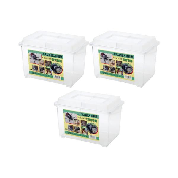 コバエの侵入抑制用　たのしい生き物　飼育容器　中　仕切りつき×３個　プラケース　虫かご　昆虫　カブト...