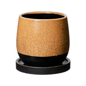 植木鉢【禄巳斉春松】手作り切立長角盆栽鉢（白）13号 : ヤマコー畑岡