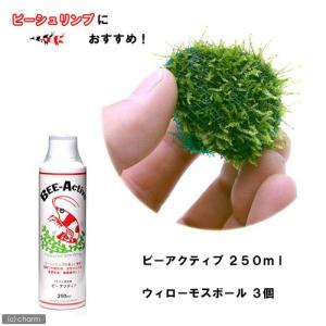 《終売》（水草）ＢＥＥ−Ａｃｔｉｖｅ　２５０ｍｌ＋巻きたて　ウィローモスボール（無農薬）（３個）　本州・四国限定