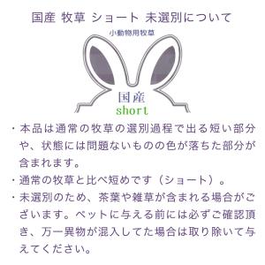 国産 イタリアンライグラス ショート 未選別 ...の詳細画像3