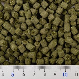 NPF テイストプラス パクチーのペレット 50gの詳細画像3