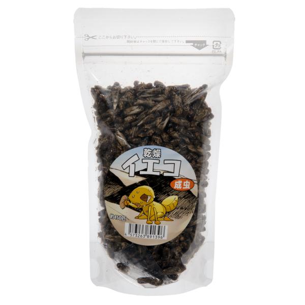コオロギ　乾燥イエコオロギ　成虫　５０ｇ　爬虫類　エサ　ハウスクリケット