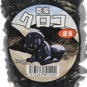 コオロギ 乾燥クロコオロギ 成虫 50g 爬虫...の詳細画像2