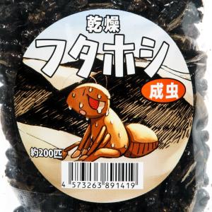 コオロギ 乾燥フタホシコオロギ 成虫 50g ...の詳細画像2