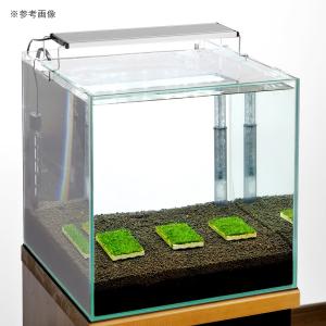 (水草)ビーシュリンプ はじめての飼育セット ...の詳細画像1