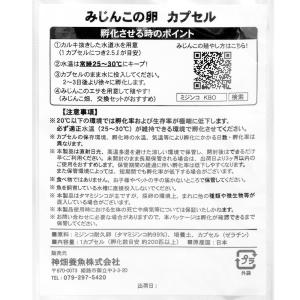 カミハタ みじんこの卵 1カプセル入り 約20...の詳細画像1