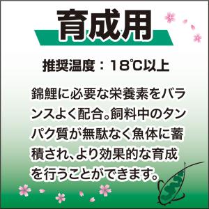 鯉の餌 キョーリン 咲ひかり 育成用 浮上 M...の詳細画像4