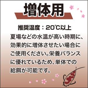 鯉の餌 キョーリン 咲ひかり 増体用 浮上 L...の詳細画像3
