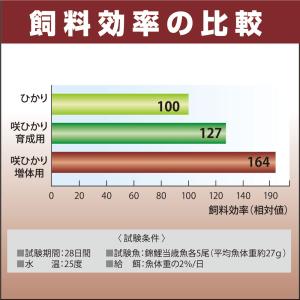鯉の餌 キョーリン 咲ひかり 増体用 浮上 L...の詳細画像4