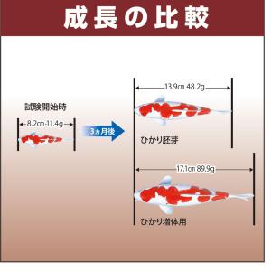 鯉の餌 キョーリン 咲ひかり 増体用 浮上 L...の詳細画像5