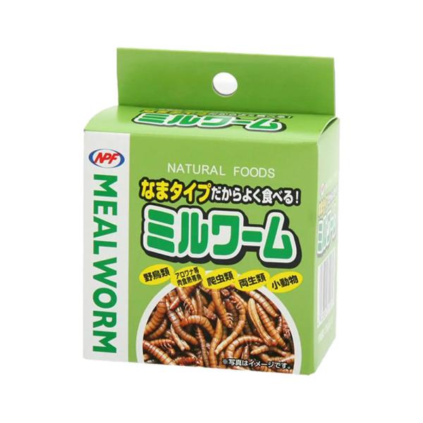ＮＰＦ　ミルワーム（缶入り）　３５ｇ×１２缶　両生類・爬虫類　ハリネズミ　フード　餌　エサ　缶詰　ナ...