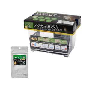 H&S アウトレット品 50Hz カルシウムリアクター CA−0 内部式