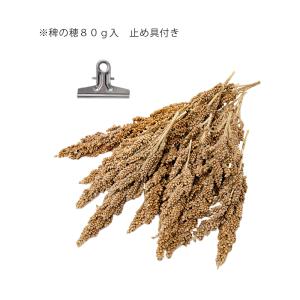 NPF エクセル 稗の穂 80gの詳細画像1