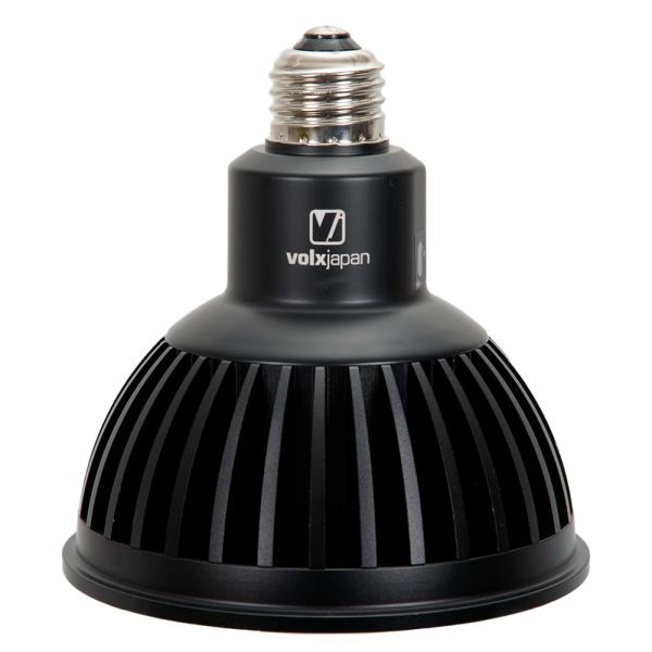 ボルクスジャパン　Ｇｒａｓｓｙ　ＬｅＤｉｏ　ＲＸ１２２ｓ　Ｆｒｅｓｈ　Ｂ／フレッシュ　黒