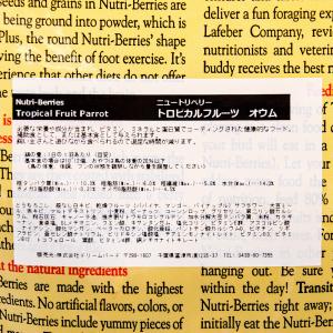 ラフィーバ トロピカルフルーツ パロット 28...の詳細画像1