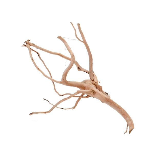 カミハタ　タイ産天然流木　ブランチウッド　Ｓ　約２７×２１×１９ｃｍ　テラリウム　パルダリウム　アク...