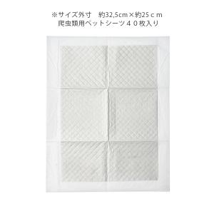 消臭・防カビ ペットシーツ ミニミニ40枚入り...の詳細画像1