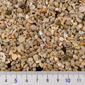 シンセー コーラルサンド (5番) 1Lの詳細画像1
