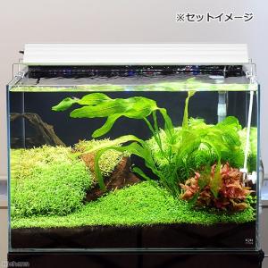 アクロ TRIANGLE LED GROW 6...の詳細画像3